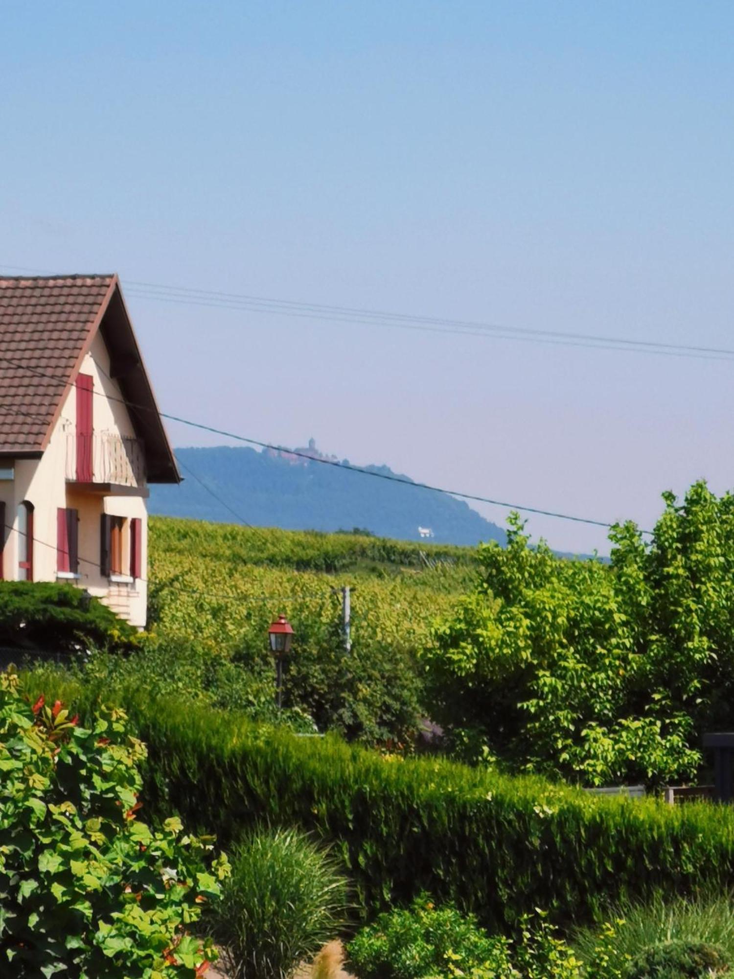 Gites Marschall Jean-Pierre Beblenheim Exterior foto